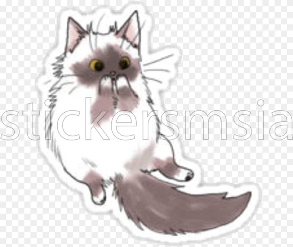 Kawai Sticker, Angora, Animal, Cat, Mammal Png