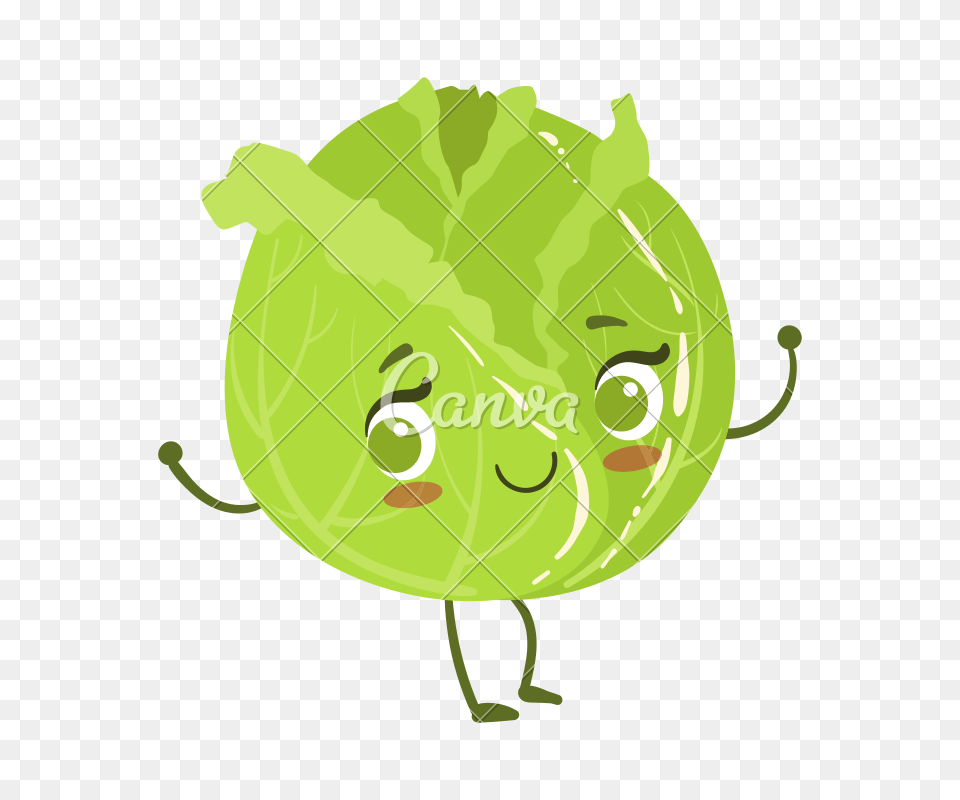 Kawaii Cabbage Cartoon, Food, Produce, Leafy Green Vegetable, Plant Free Transparent Png