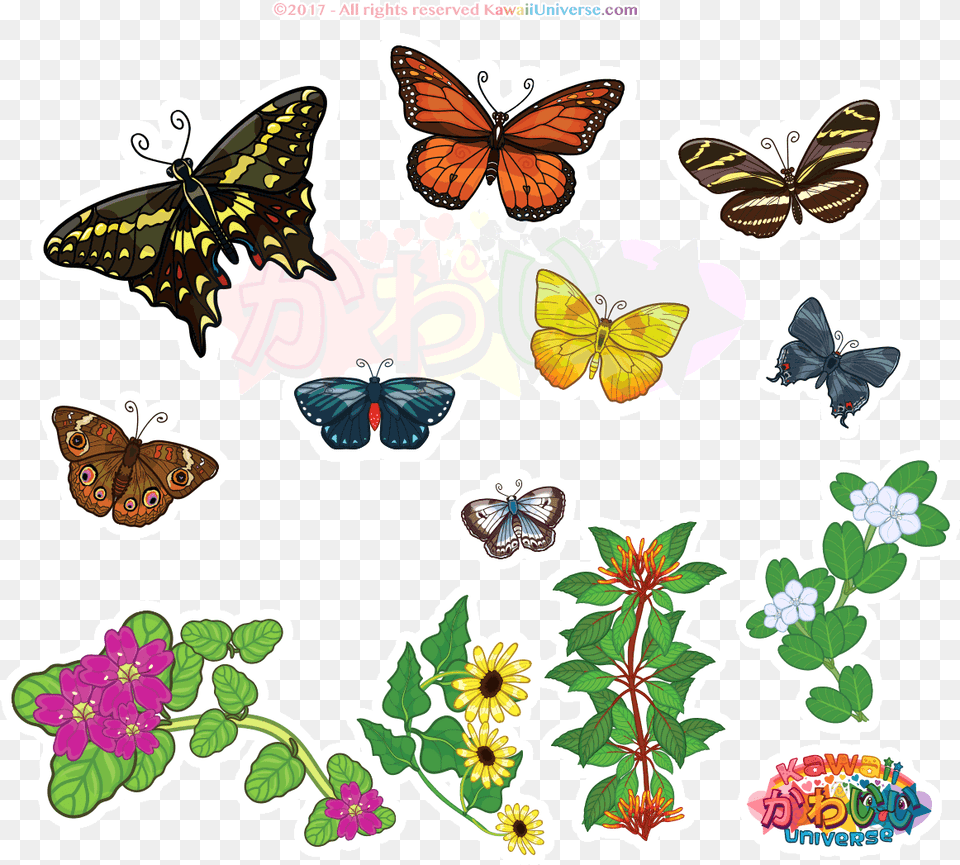 Kawaii Clipart Butterfly Transparent Gif Animation Butterflies Animated Gif, Art, Graphics, Floral Design, Pattern Free Png Download