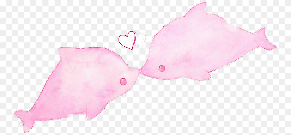 Kawaii Cute Adorable Dolphins Pink Love Illustration, Animal, Fish, Sea Life, Shark Free Transparent Png