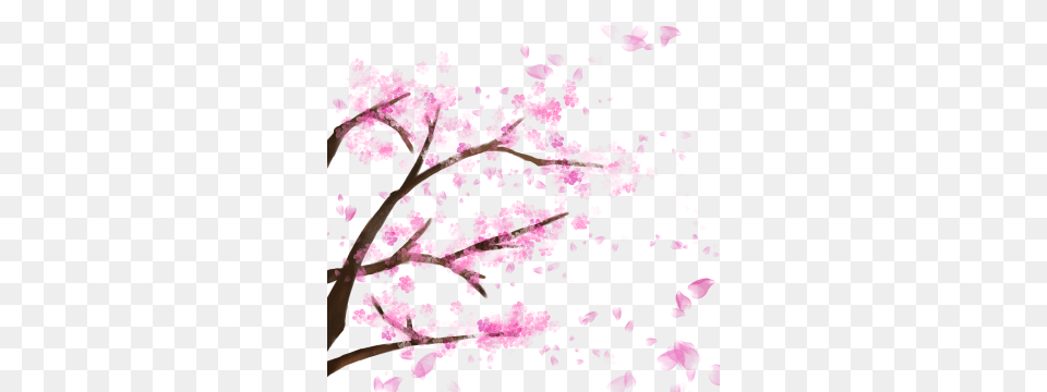 Kawaii Vectors And Flower, Plant, Cherry Blossom, Petal Free Png Download