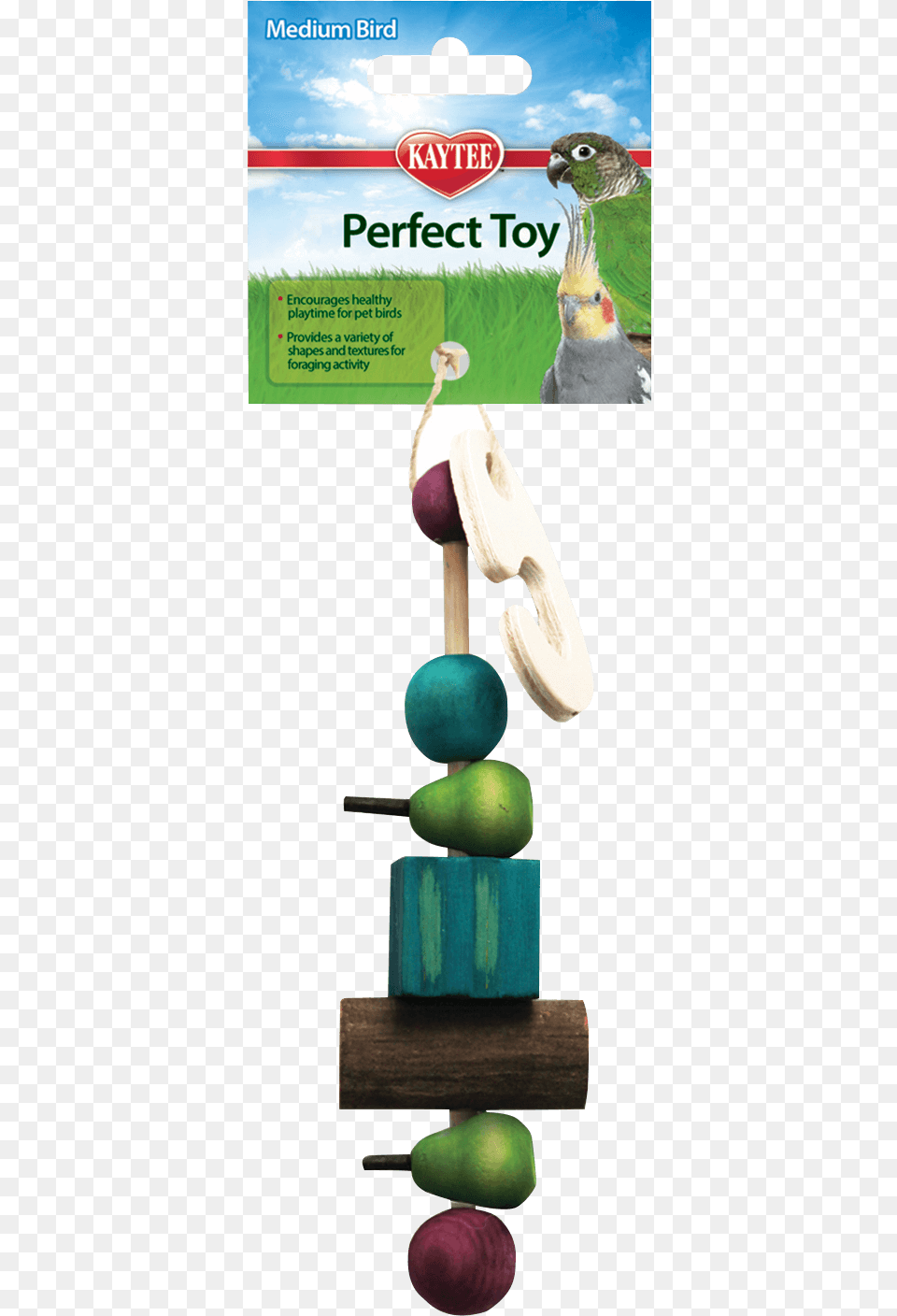 Kaytee Avian Build A Toy Medium Natural Wood, Animal, Bird, Produce, Plant Png Image