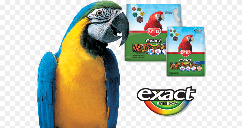 Kaytee Exact Bird Food Birds, Animal, Macaw, Parrot Free Transparent Png
