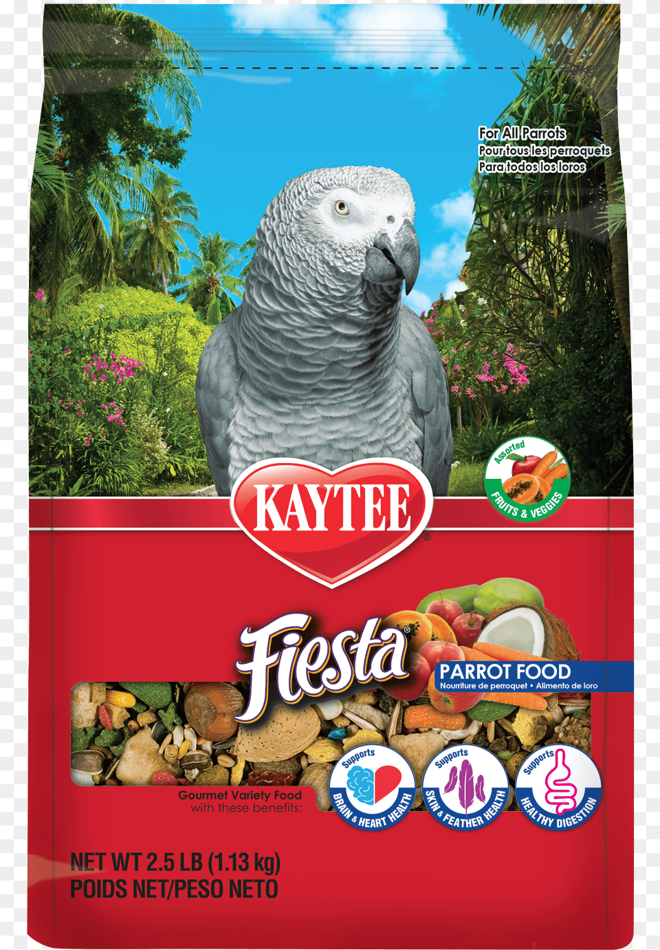 Kaytee Fiesta Bird, Animal, Advertisement, Parrot, African Grey Parrot Free Png Download