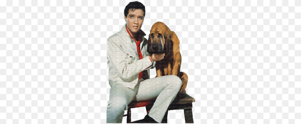 Kaz Creations Elvis Presley King Of Rock N Roll Music Elvis Presley Dog Kissin Cousins Birthday Card, Clothing, Coat, Adult, Person Free Png Download