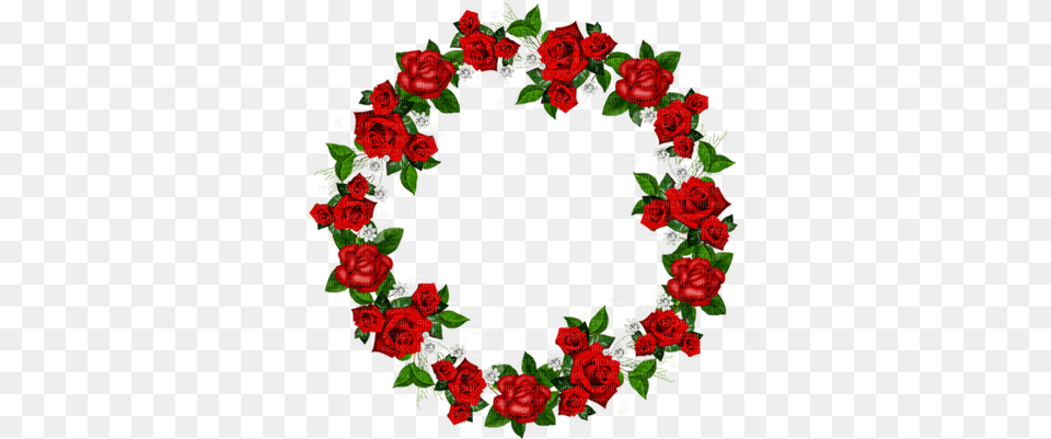 Kaz Creations Valentine Deco Flower Circle, Plant, Rose, Art, Floral Design Png