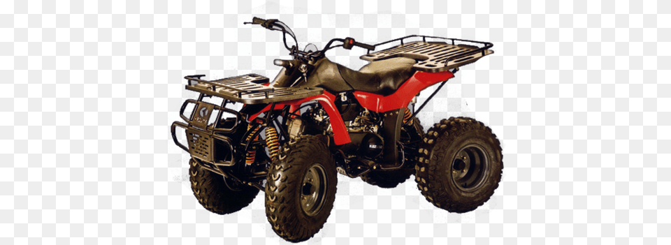 Kazuma Dingo Kazuma Dingo, Atv, Transportation, Vehicle, Motorcycle Free Png Download