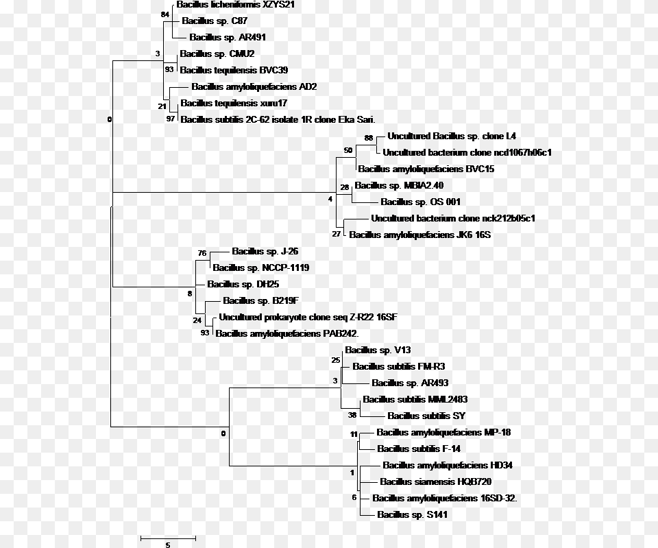 Kb Portable Network Graphics, Page, Text Free Png