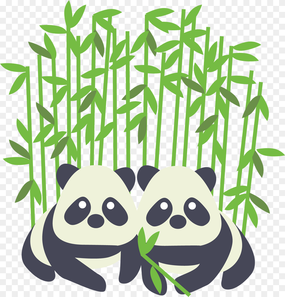 Kb Toronto Zoo, Bamboo, Plant, Animal, Bear Png