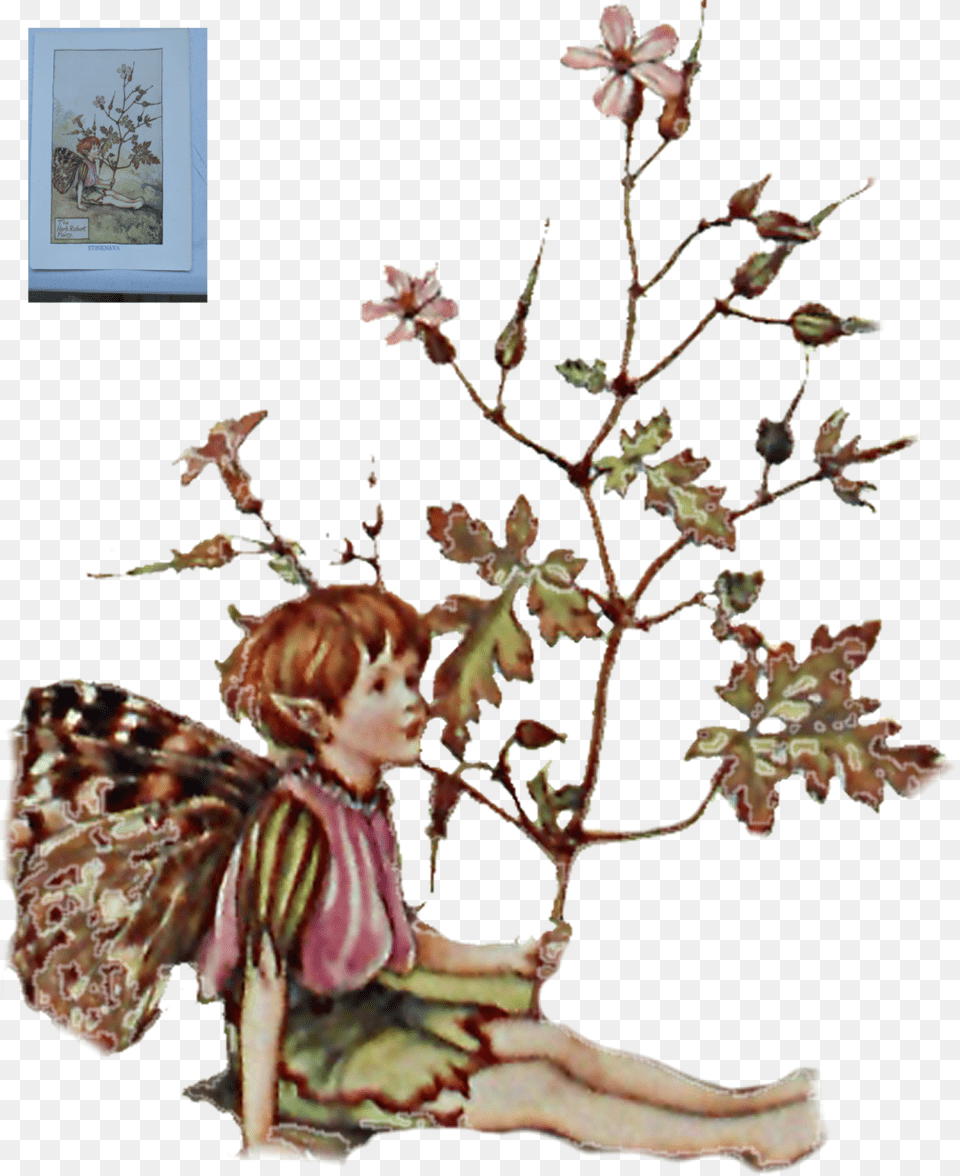 Kbytes Book Of The Flower Fairies, Art, Painting, Plant, Face Png Image