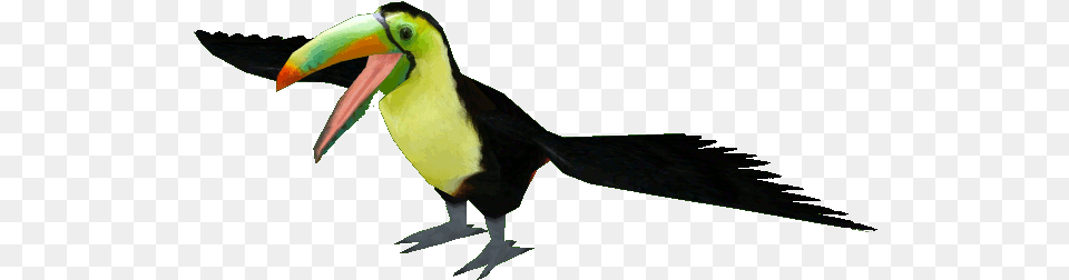 Keel Billed Toucan Keel Billed Toucan, Animal, Beak, Bird Free Transparent Png