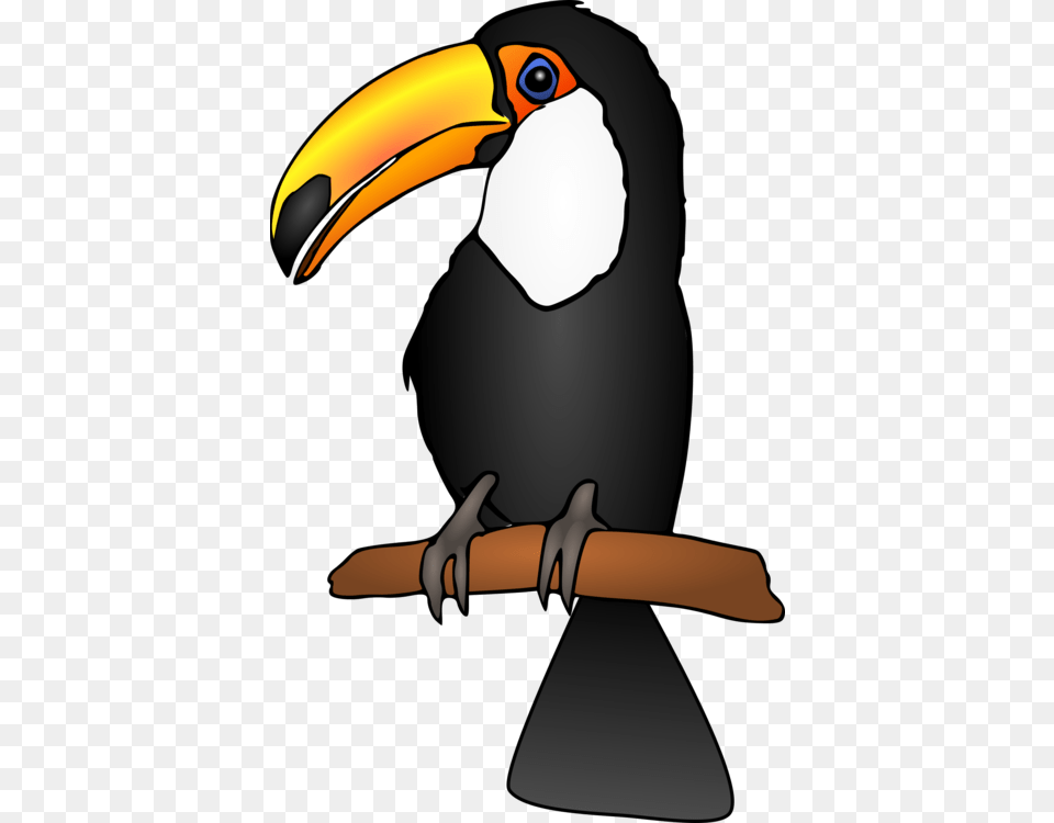Keel Billed Toucan Piciformes Bird Parrot, Animal, Beak, Person Free Png Download