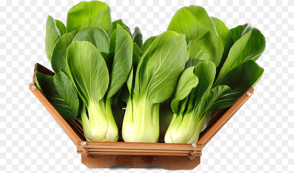 Keep Bok Choy Unwashed Until Ready To Use Bok Choy, Food, Leafy Green Vegetable, Plant, Produce Png
