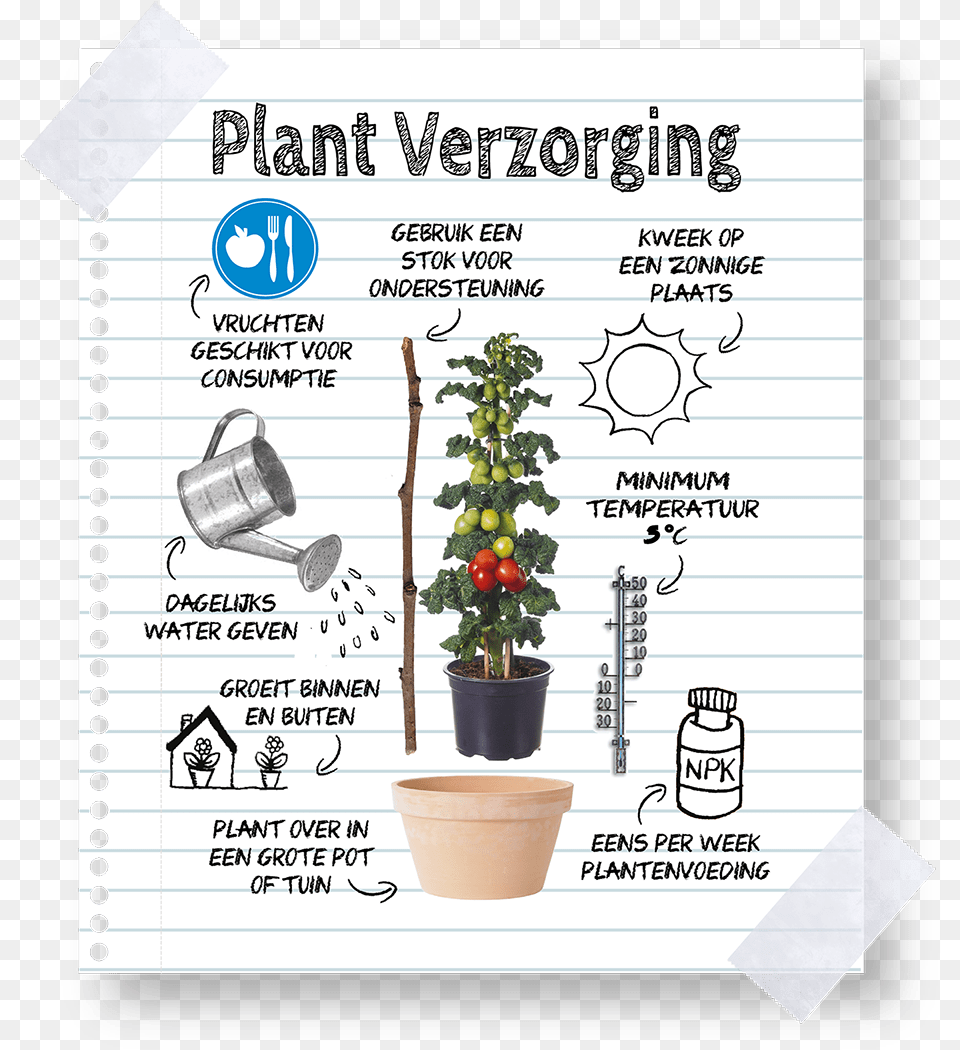 Keep Farmzy Tomato Plants Flowerpot, Plant, Potted Plant, Advertisement, Poster Free Png