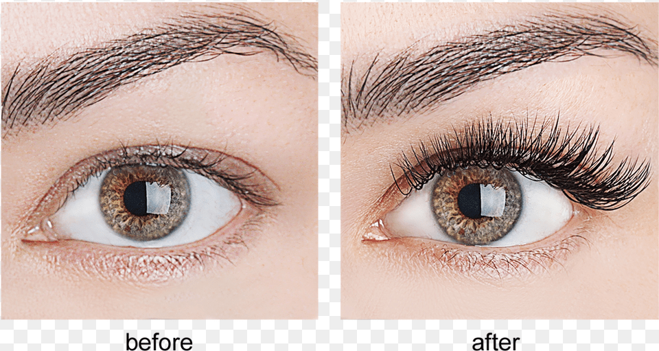 Keep People With Eyelash Extensions, Art, Collage, Adult, Female Png Image