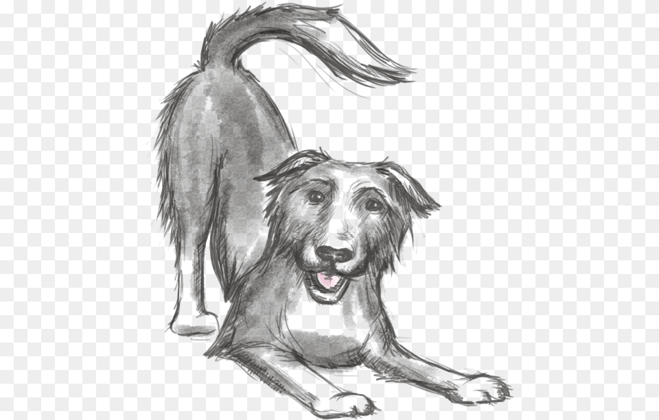 Keep The Tail Wagging Icon A Sketch Of Our Dog Blue Raw Food For Dogs Weight, Adult, Bride, Female, Person Free Png