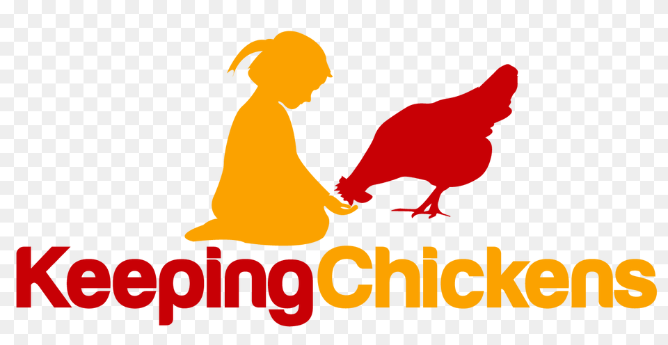 Keeping Chickens Chicken, Animal, Bird Free Transparent Png