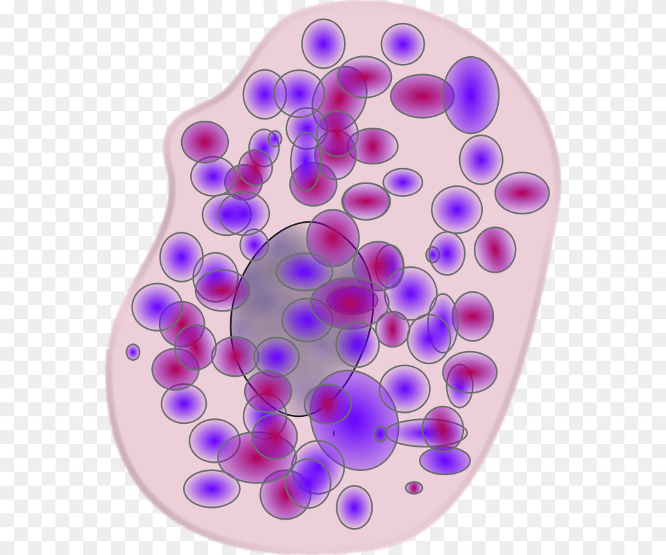 Keikannui Mast Cell, Pattern Free Transparent Png