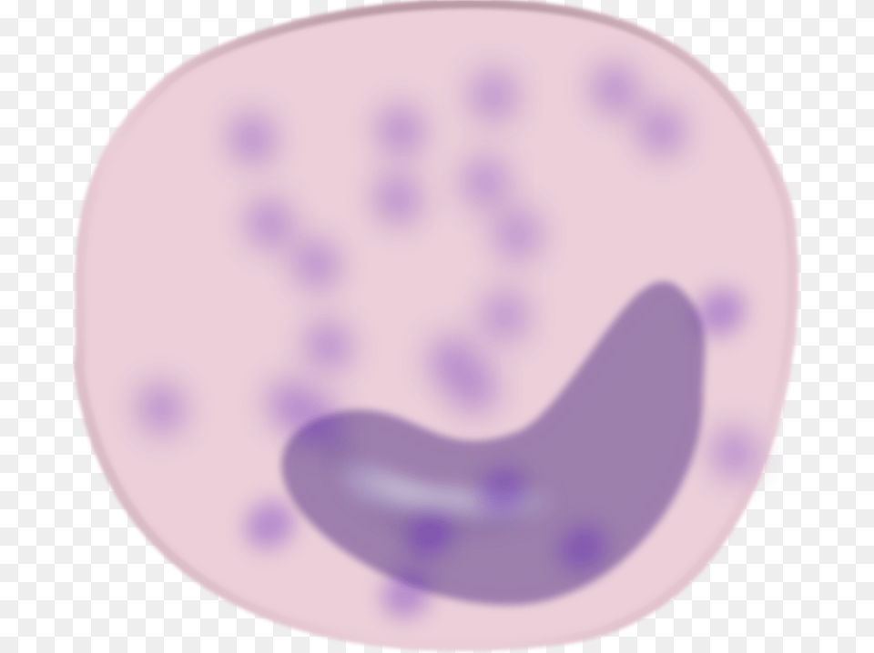 Keikannui Monocyte Png Image