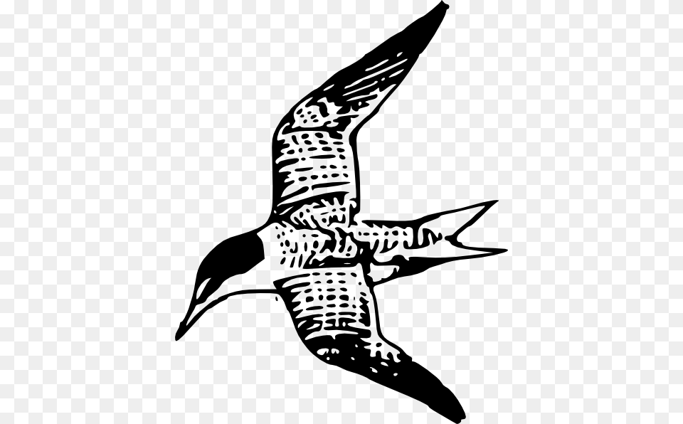 Kelan Lestern Clip Art Vector Clip Art, Stencil, Animal, Flying, Bird Free Png Download