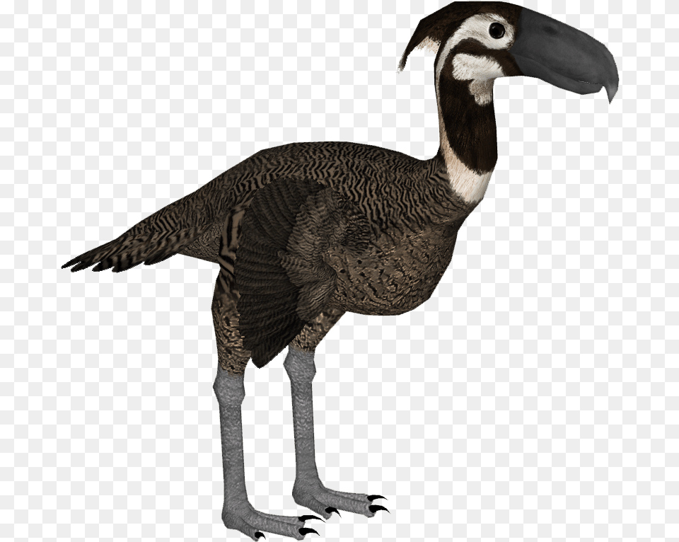 Kelenken Flightless Bird, Animal, Beak Free Png Download