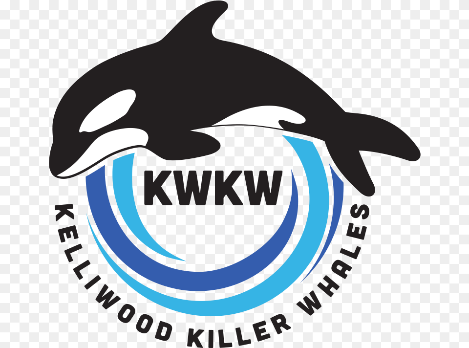 Kelliwood Killer Whales Logo Killer Whale, Animal, Dolphin, Mammal, Sea Life Png