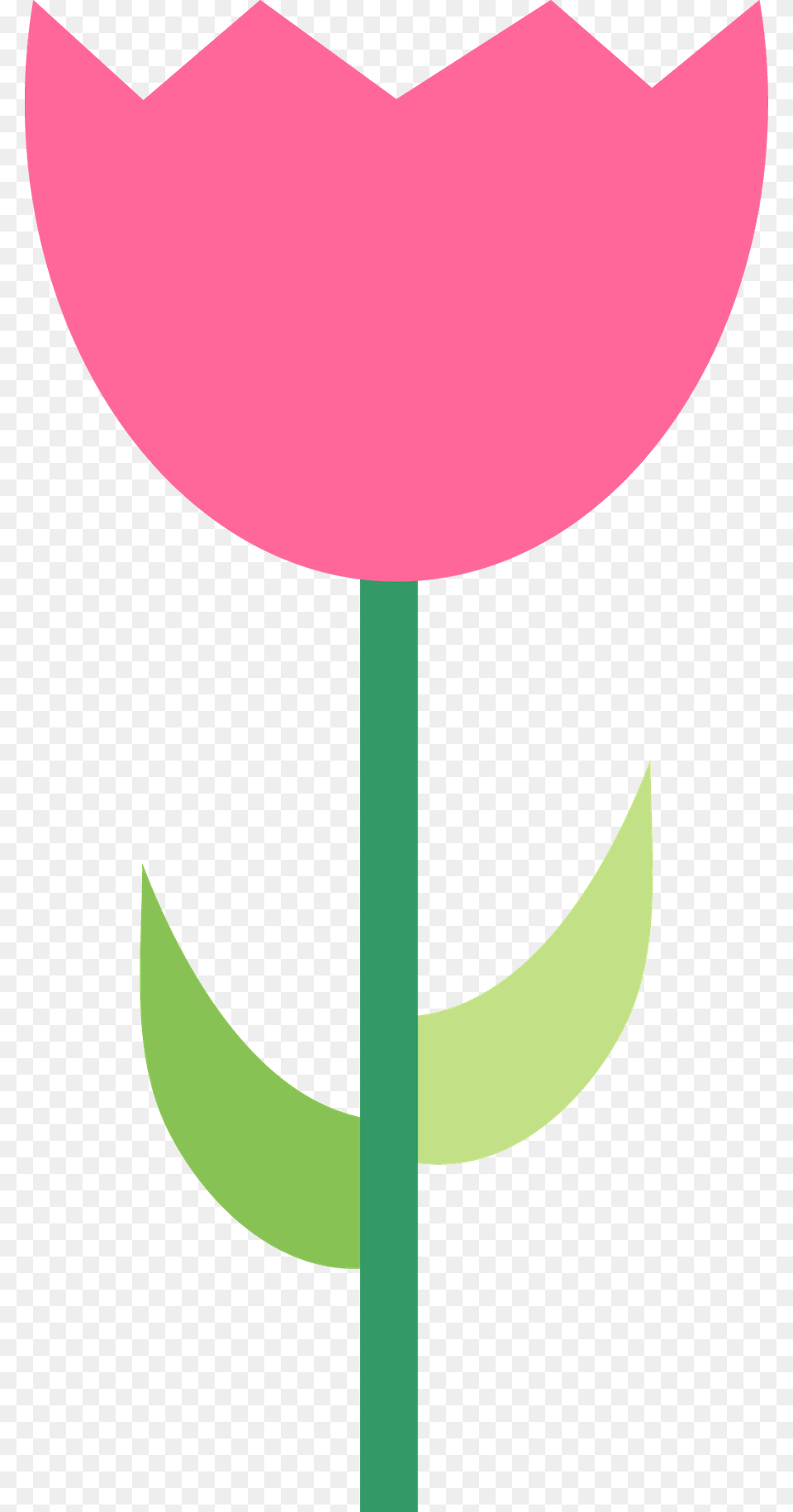 Kellkristys Profile, Flower, Petal, Plant, Food Free Transparent Png