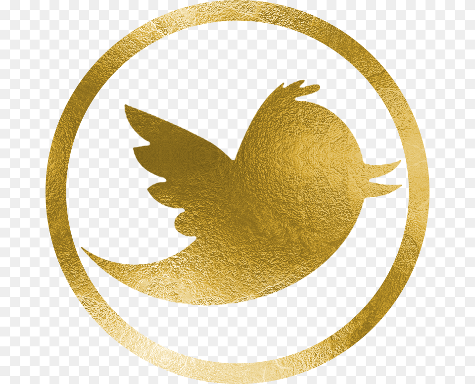 Kelly Doss Events Twitterpng Twitter Logo, Aluminium, Gold, Foil, Texture Free Transparent Png