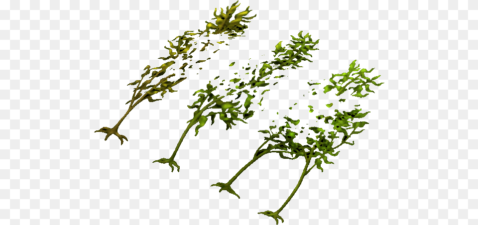 Kelp 0 Illustration, Green, Plant, Vegetation Free Transparent Png