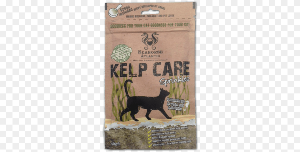 Kelp Black Cat, Animal, Canine, Dog, Mammal Free Png