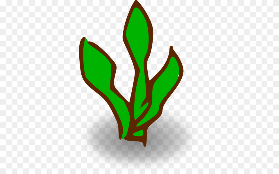 Kelp Clip Art, Leaf, Plant, Herbal, Herbs Png Image