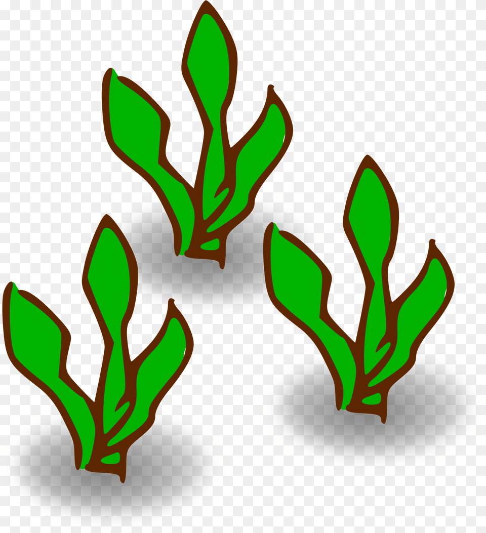 Kelp Forest Heavy Kelp Clipart, Leaf, Plant, Light, Art Free Png Download