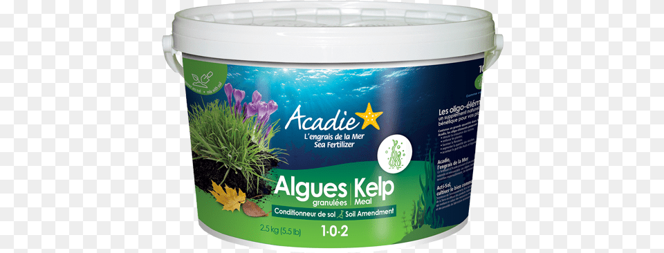 Kelp Meal Engrais Algues Marines, Herbs, Plant, Herbal, Sea Life Free Png