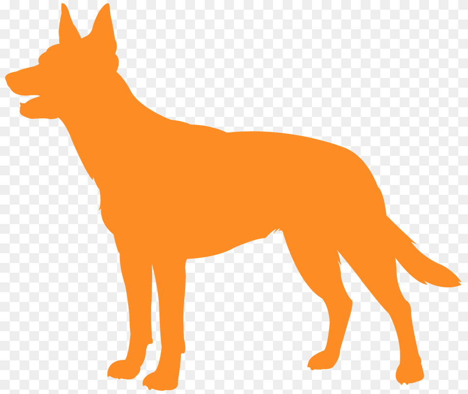 Kelpie Silhouette, Animal, Canine, Coyote, Dog Png Image