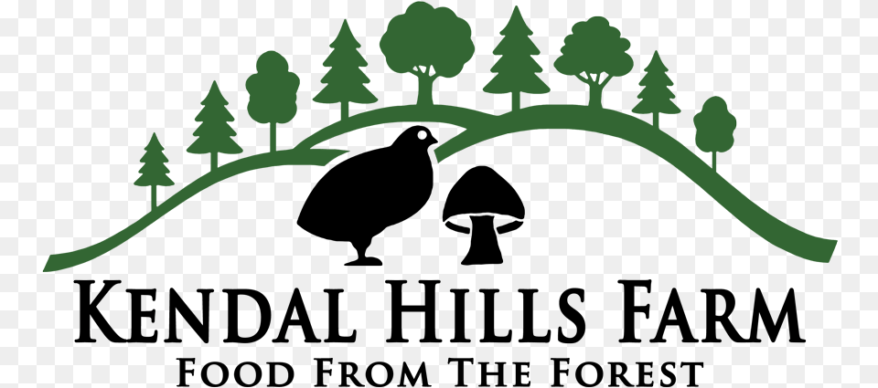 Kendal Hills Farm, Field, Grassland, Green, Nature Png Image