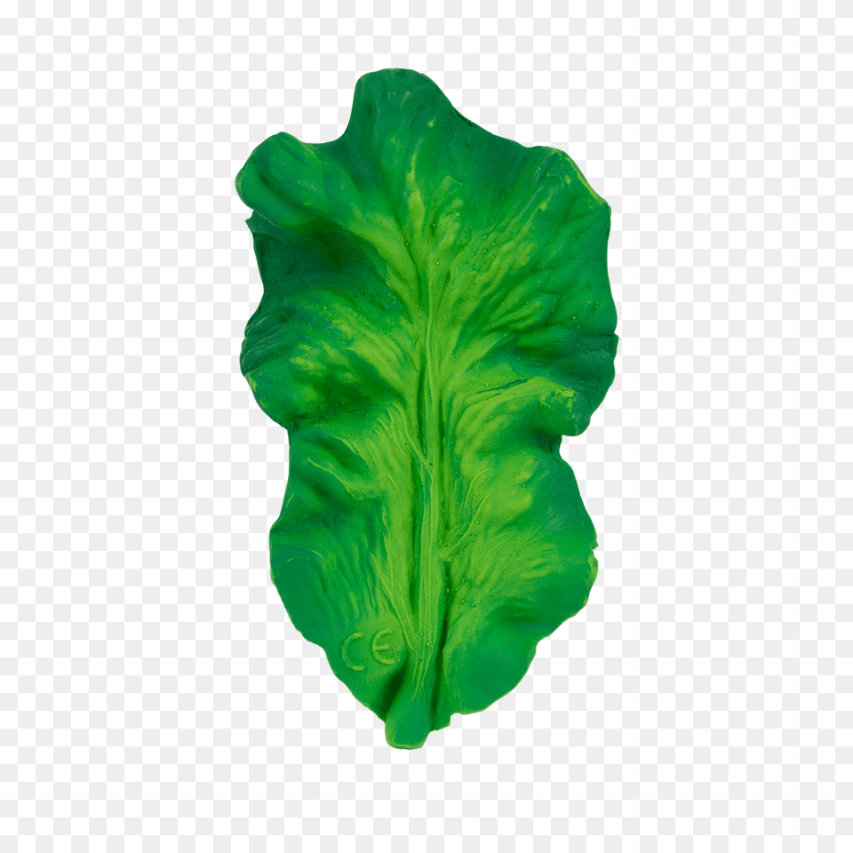 Kendall The Kale In Products Toys Baby, Leaf, Plant, Food, Lettuce Free Transparent Png