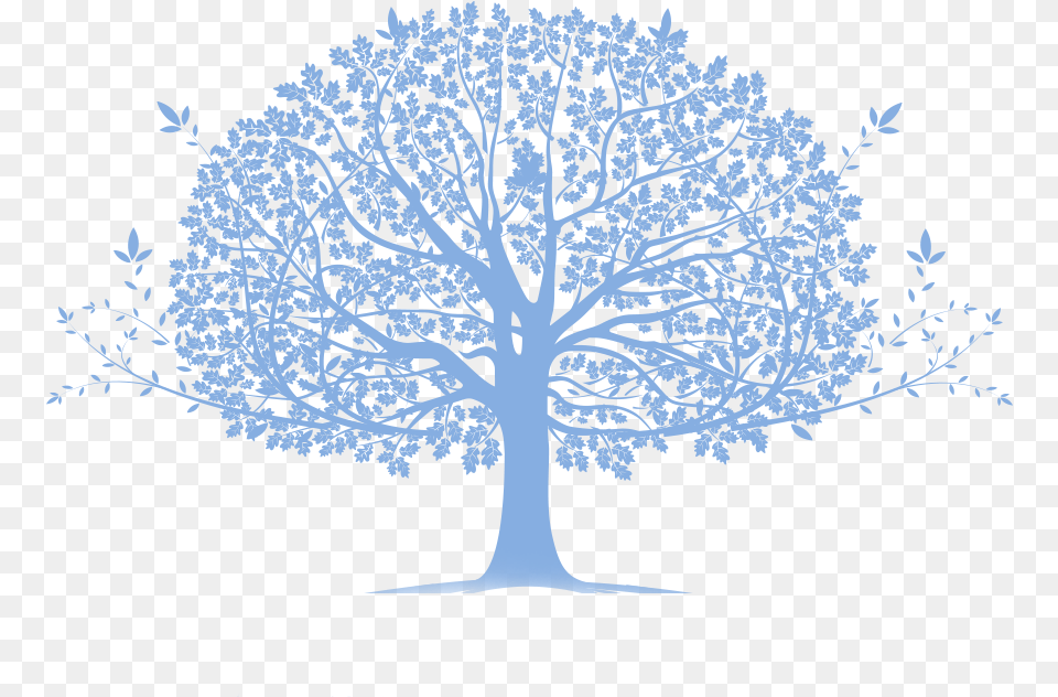 Kennedy Family Tree Family Tree Blue, Art, Plant, Pattern, Drawing Free Transparent Png