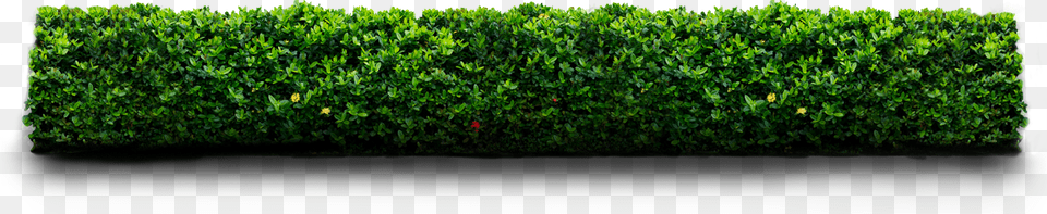 Kennedy Space Center, Fence, Hedge, Plant, Grass Png