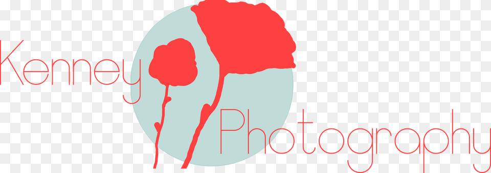 Kenney Photography, Logo, Art, Modern Art Free Transparent Png