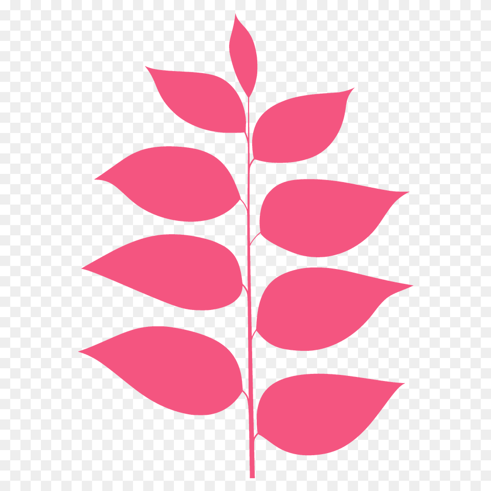 Kentucky Coffeetree Leaf Silhouette, Plant, Art, Floral Design, Graphics Png