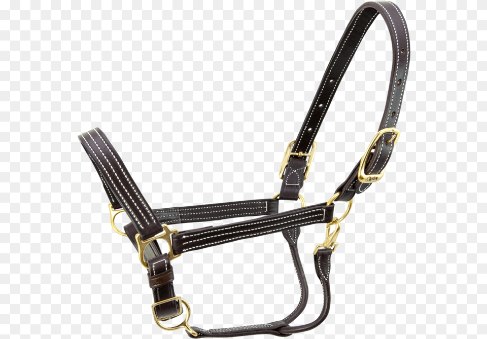 Kentucky Halter Kentucky Horse Halters, Harness, Accessories, Jewelry, Necklace Free Transparent Png