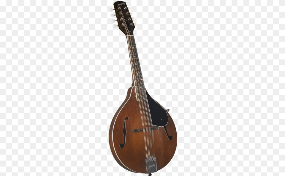 Kentucky Km 156 Standard A Model Mandolin Kentucky Km 156 Mandolin, Guitar, Musical Instrument, Lute Png