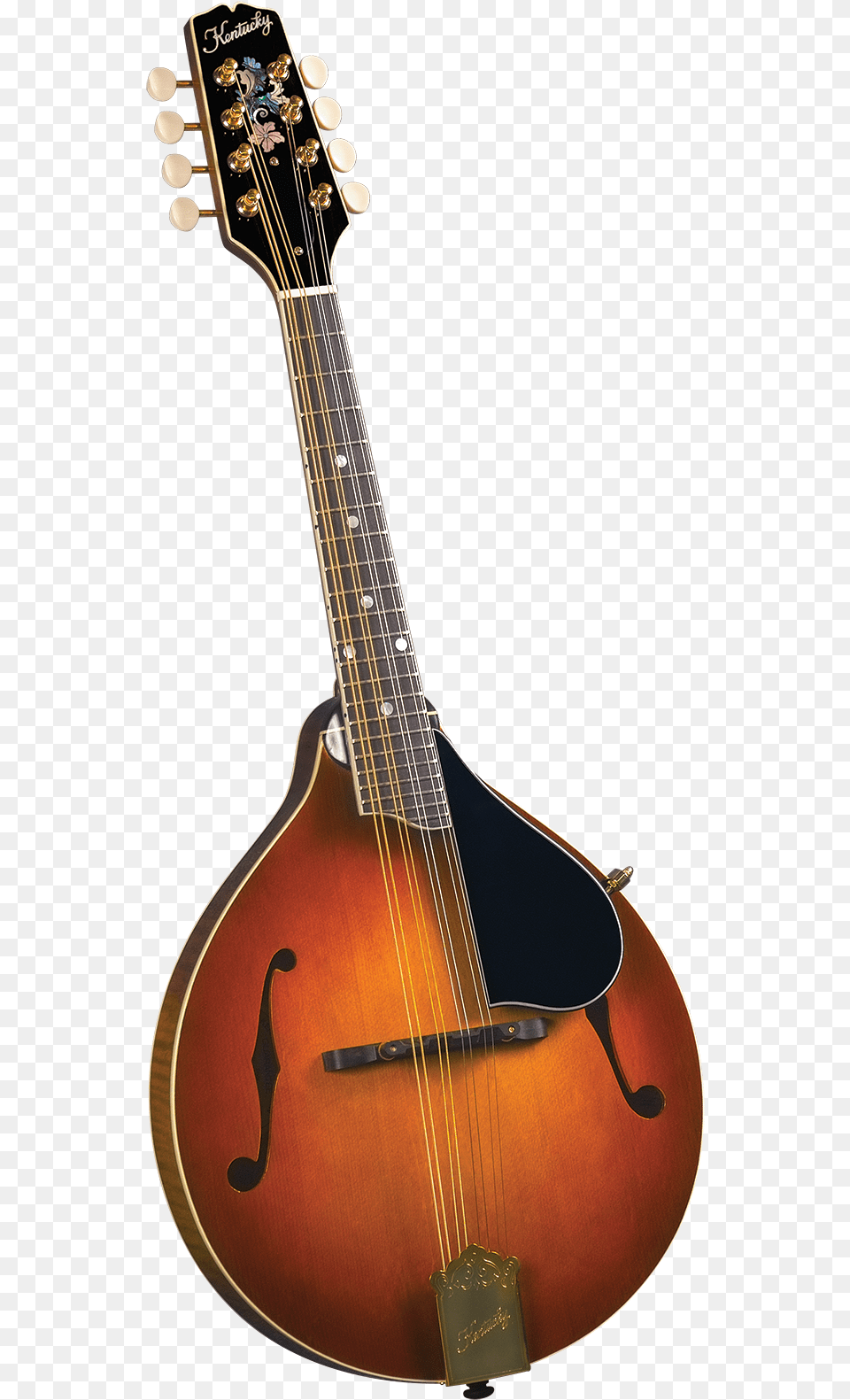 Kentucky Km 505 Mandolin Kentucky Km 505 Artist A Model Mandolin Amberburst, Musical Instrument, Guitar, Lute Free Transparent Png