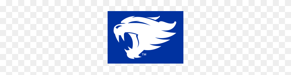 Kentucky Wildcats Alternate Logo Sports Logo History, Animal, Fish, Sea Life, Shark Png Image