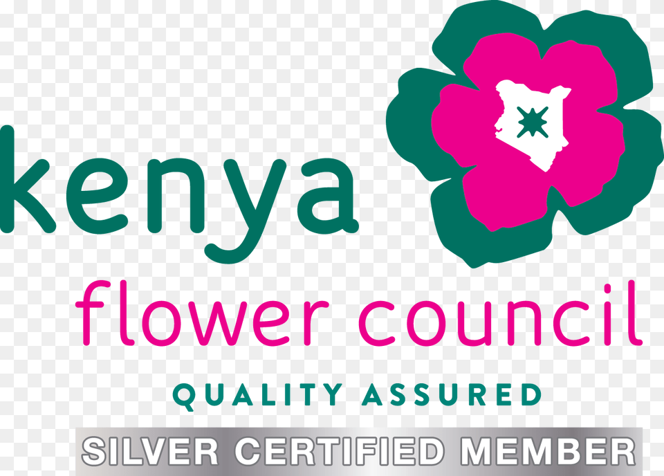 Kenya Flower Council Silver, Plant, Petal, Advertisement Free Png Download