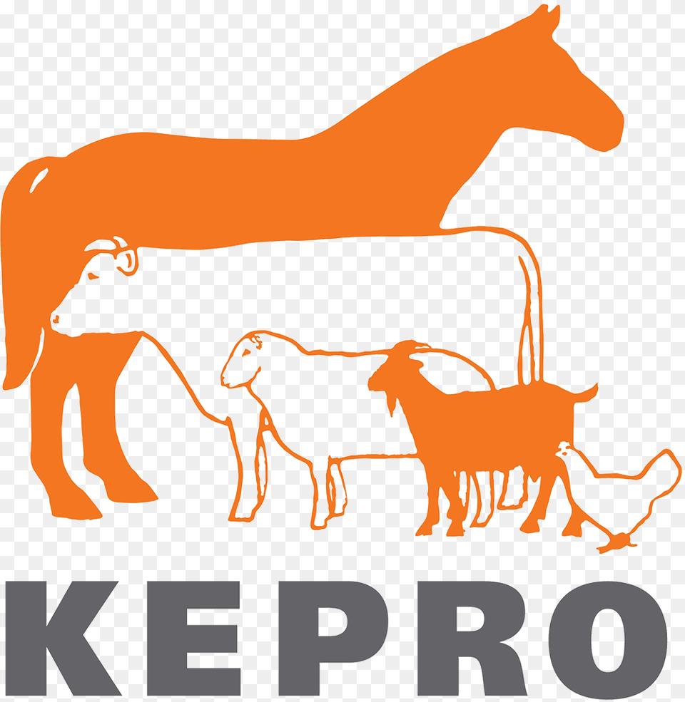 Kepro Bv, Animal, Mammal, Wildlife, Antelope Free Transparent Png