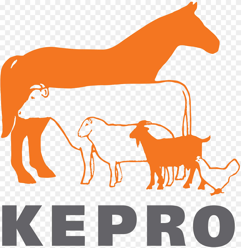 Kepro Kepro Logo, Animal, Mammal, Livestock Free Transparent Png