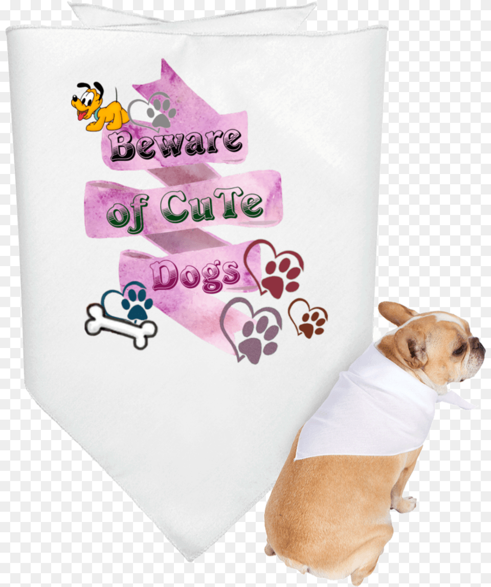 Kerchief, Animal, Canine, Dog, Mammal Free Png Download