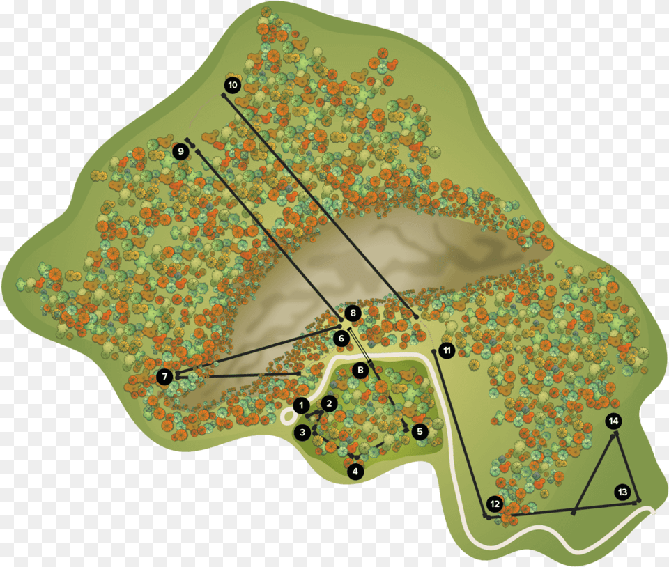 Kerfoot Canopy Tour In Henderson, Chart, Plot, Plant, Vegetation Png