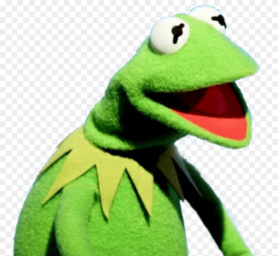 Kermit Caco Meme U Meme, Amphibian, Animal, Frog, Wildlife Png